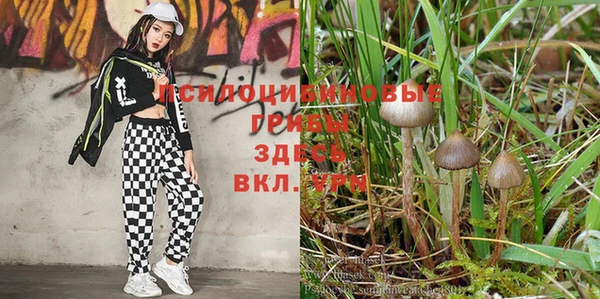 каннабис Ветлуга